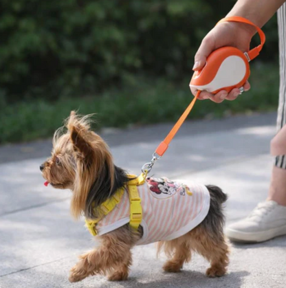 Leash for Dogs Freedom Control Walk Smooth Premium