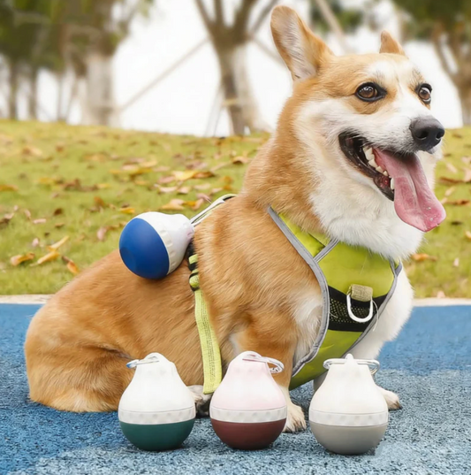 Water Fountain for Dogs Hydration Anywhere Anytime Prepared