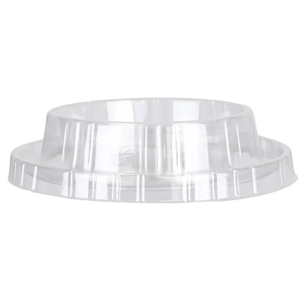 Slow Feeder Bowl for Cats & Dogs Feed