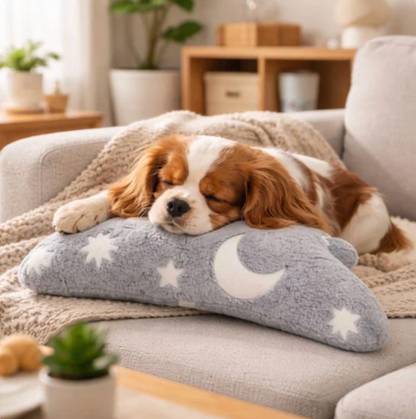 Cozy Plush Bed for Cats & Dogs Because