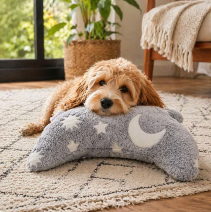 Cozy Plush Bed for Cats & Dogs Because