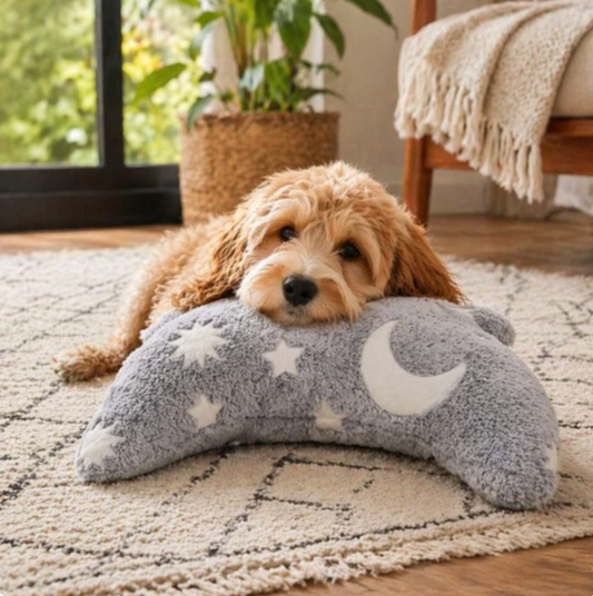 Cozy Plush Bed for Cats & Dogs Because
