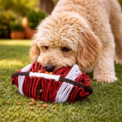 Slow Feeder Bowl for Dogs Boredom Exciting Brain