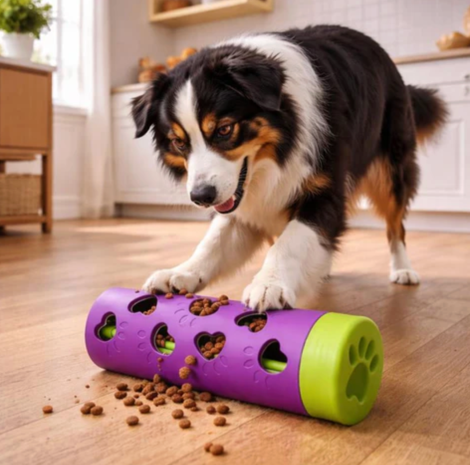 Slow Dental Care Tool for Dogs Chewing Healthy
