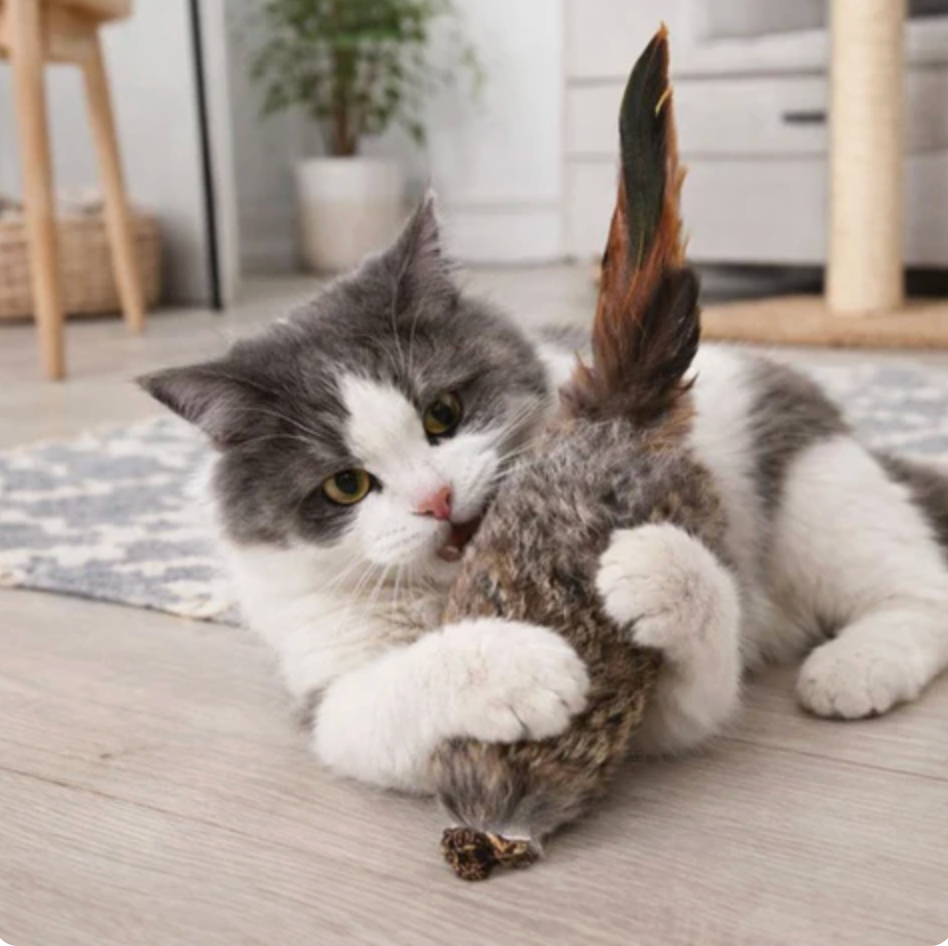 Interactive Faux Fur Wand Teaser for Cats Awaken