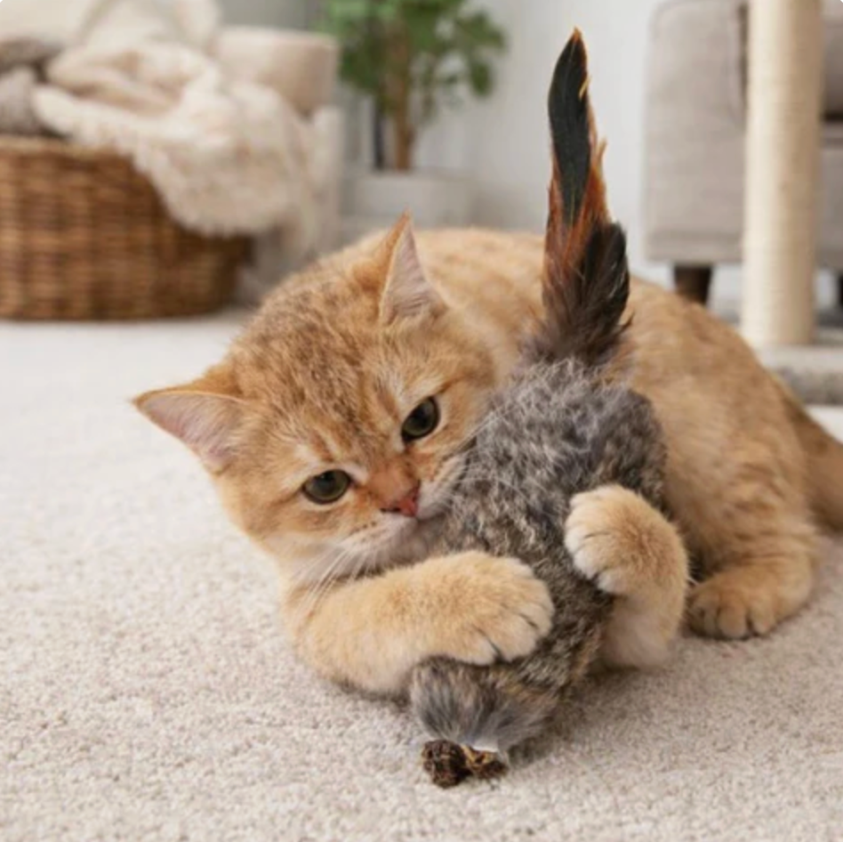Interactive Faux Fur Wand Teaser for Cats Awaken