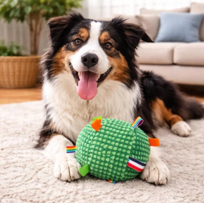 Interactive Ball Toy for Cats & Dogs Endless Play
