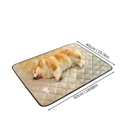 Slow Feeder Bowl for Cats & Dogs Cool