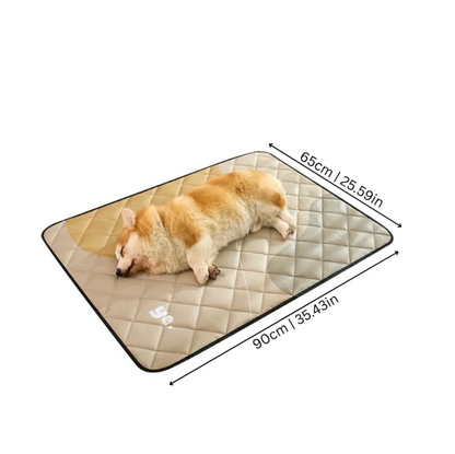 Slow Feeder Bowl for Cats & Dogs Cool
