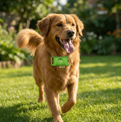 Collar for Cats & Dogs Simple Support Flea