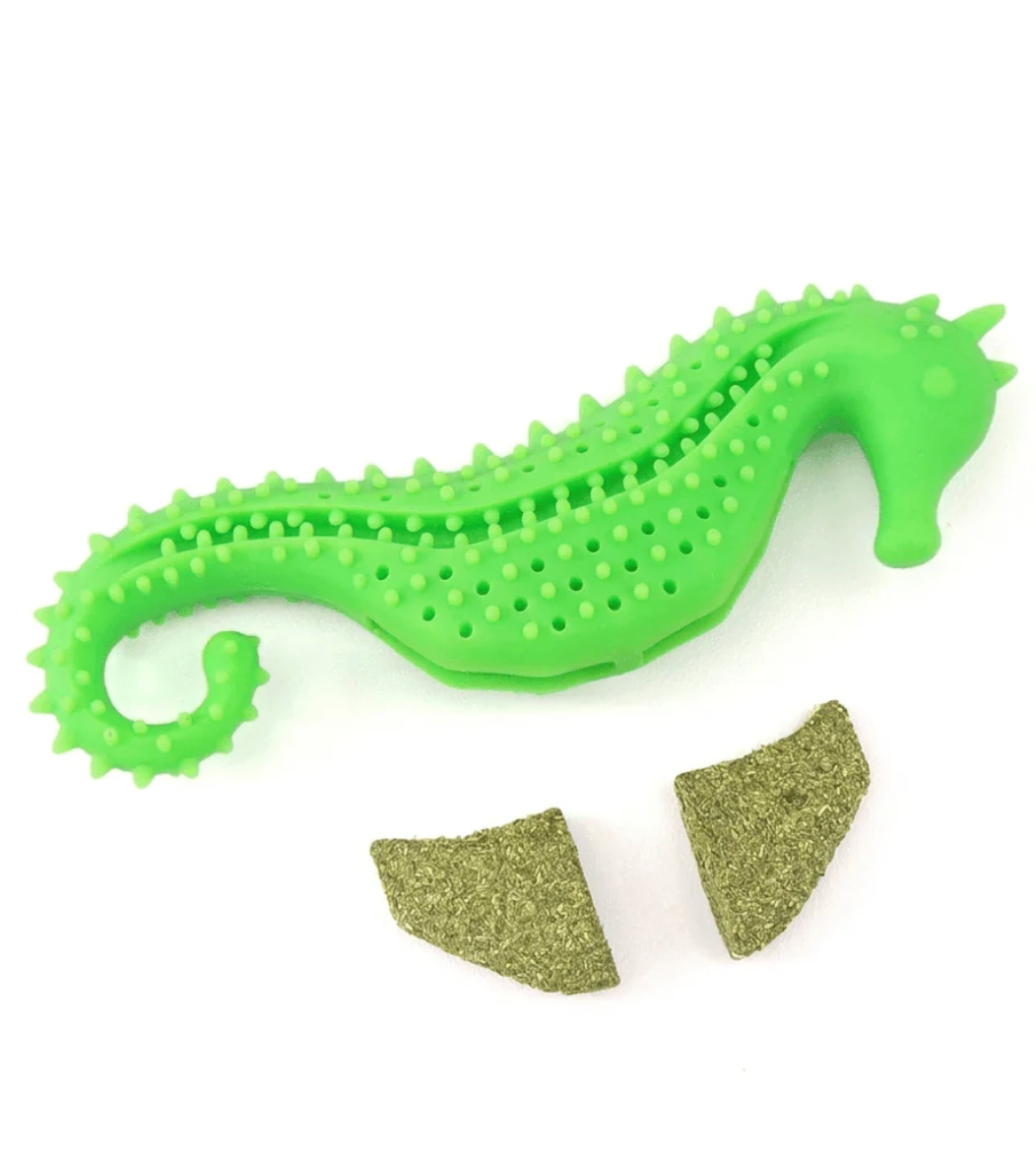Dental Care Tool for Cats Catnip Chew Encourages