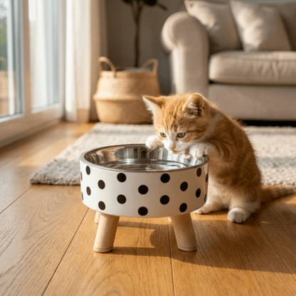 Stainless Steel Water Fountain for Cats & Dogs