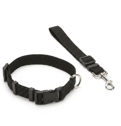 Leash for Dogs Safer Journeys Freedom Without Premium