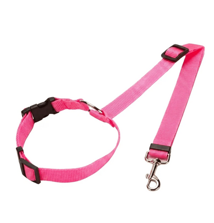 Leash for Dogs Safer Journeys Freedom Without Premium