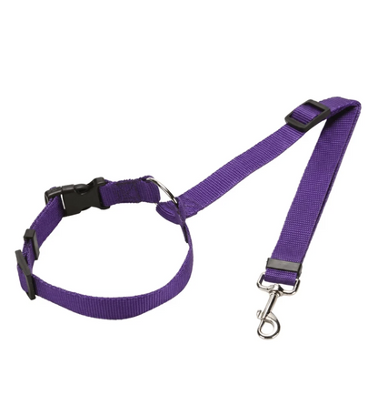 Leash for Dogs Safer Journeys Freedom Without Premium