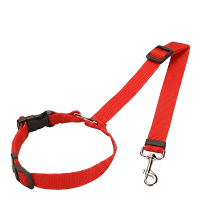 Leash for Dogs Safer Journeys Freedom Without Premium