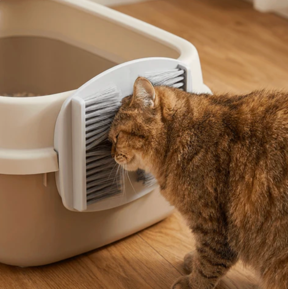 Massager for Cats Self Grooming While They Premium