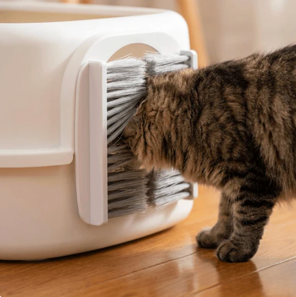 Massager for Cats Self Grooming While They Premium