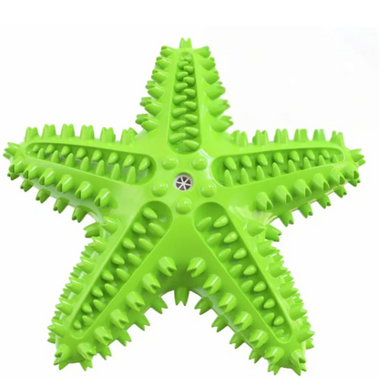 Floating Dental Care Tool for Dogs Water Moment