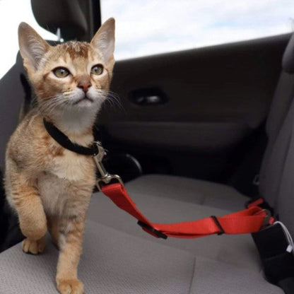 Adjustable Reflective Walking Harness for Cats Taking Road