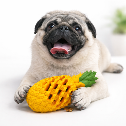 Slow Rubber Dental Care Tool for Dogs Mechanical