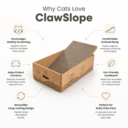 Cardboard Scratching Post for Cats Reversible Scratcher Claw