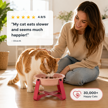 Slow Feeder Bowl for Cats & Dogs Meal