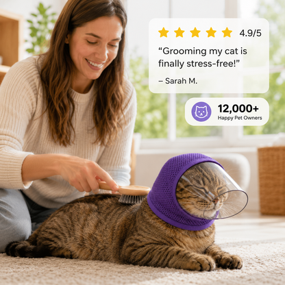Costume for Cats Care Safer Easier Less Premium