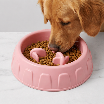 Slow Feeder Bowl for Cats & Dogs Help