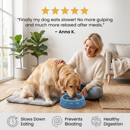 Slow Feeder Bowl for Cats & Dogs Help