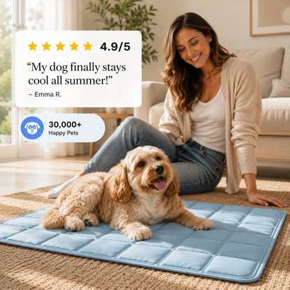 Cozy Bed for Cats & Dogs Help Cool Relaxed