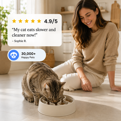 Slow Feeder Bowl for Cats Meal More Encourages