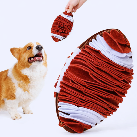 Slow Feeder Bowl for Dogs Boredom Exciting Brain