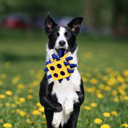 Slow Feeder Bowl for Dogs Treat Time Smart