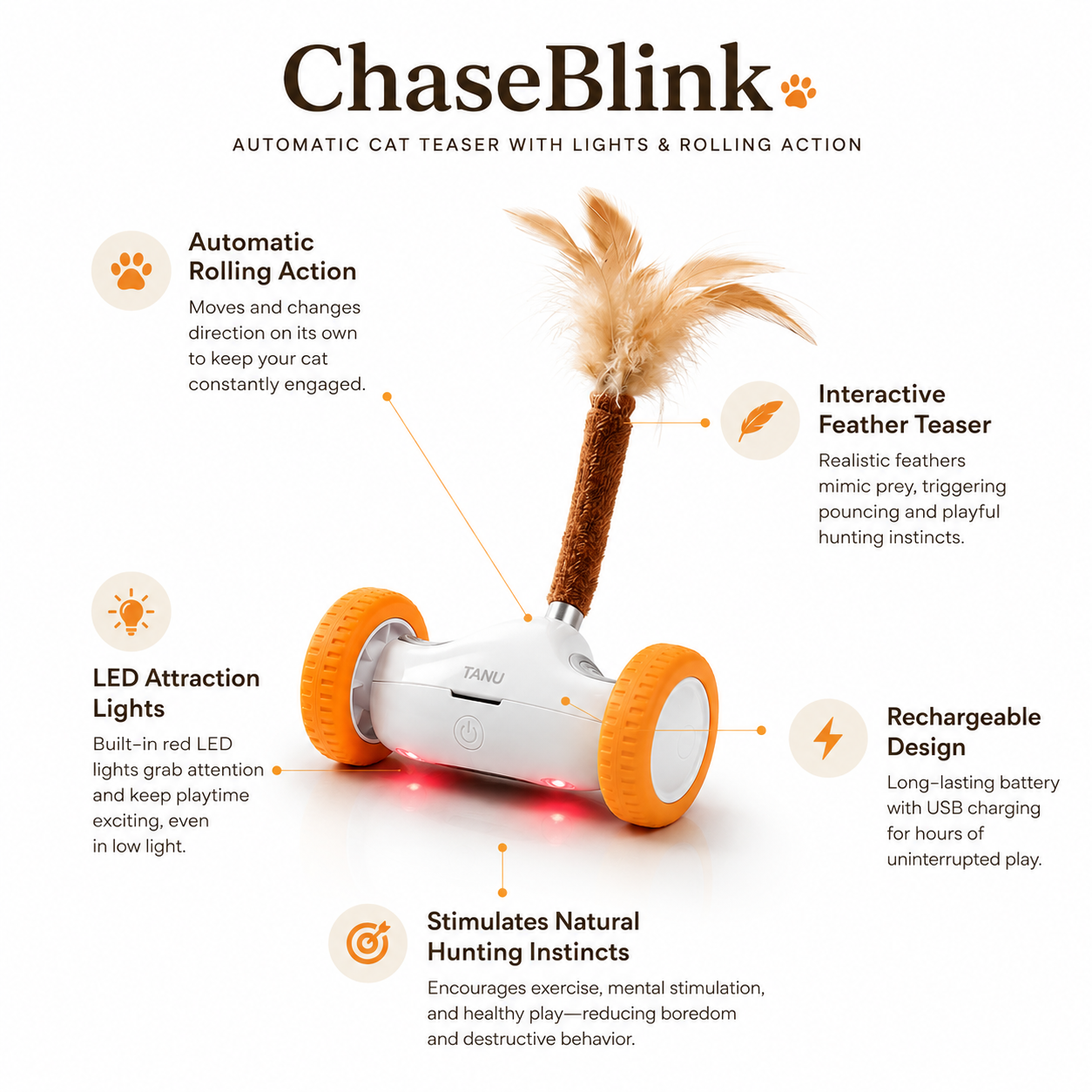 Interactive Wand Teaser for Cats Moving Hunting Entertained