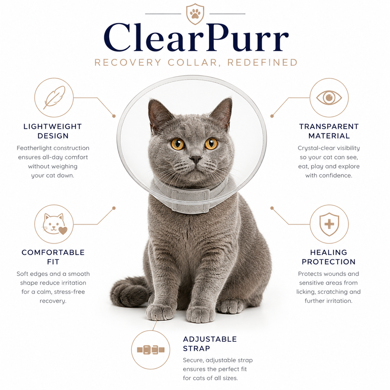 Collar for Cats Support Safer More Recovery Premium