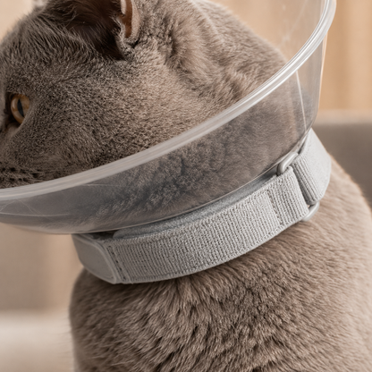 Collar for Cats Support Safer More Recovery Premium