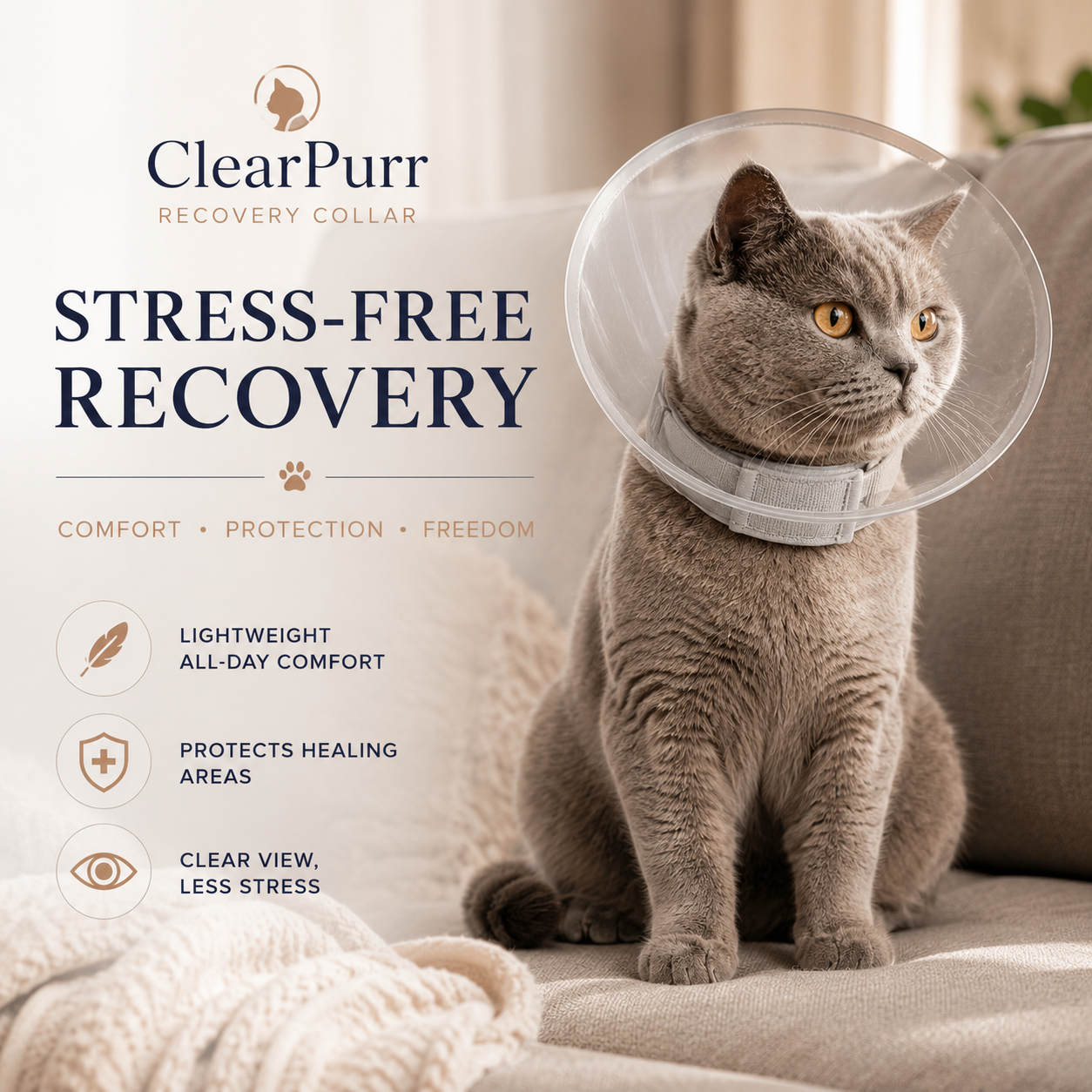 Collar for Cats Support Safer More Recovery Premium