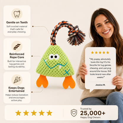 Plush Chew Toy for Dogs Soft Squeaky Premium