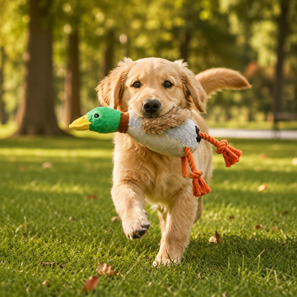 Plush Chew Toy for Dogs Soft Squeaky Premium Model