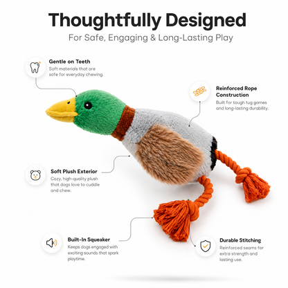 Plush Chew Toy for Dogs Soft Squeaky Premium Model