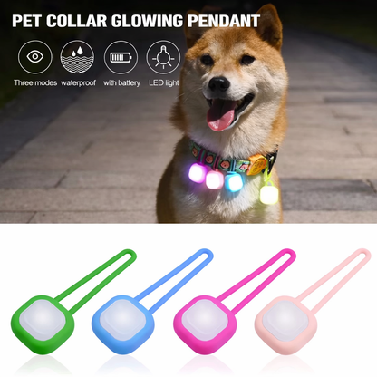 Leash for Dogs Never Lose Sight Friend Premium