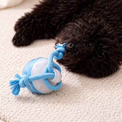 Interactive Ball Toy for Cats & Dogs Endless