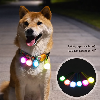 Leash for Dogs Never Lose Sight Friend Premium