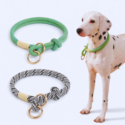 Plush Leash for Dogs Blend Strength Softness Pull