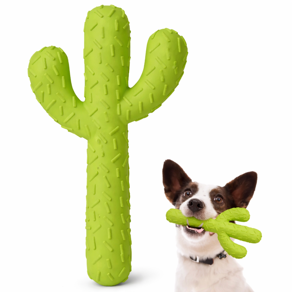 Rubber Dental Care Tool for Dogs Chew Session