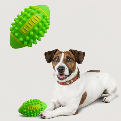 Rubber Paw Protector Boots for Dogs Chew Play
