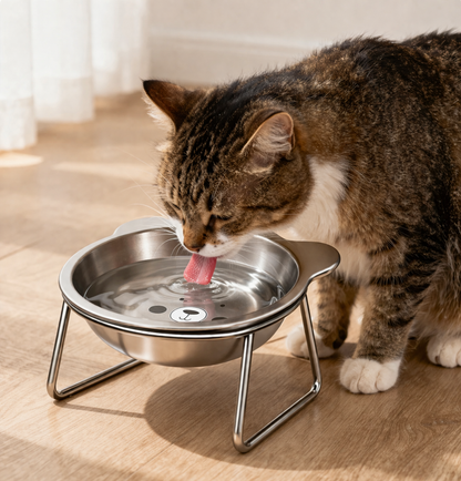 Slow Stainless Steel Feeder Bowl for Dogs Meal