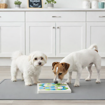 Slow Rubber Feeder Bowl for Dogs Minutes Treat