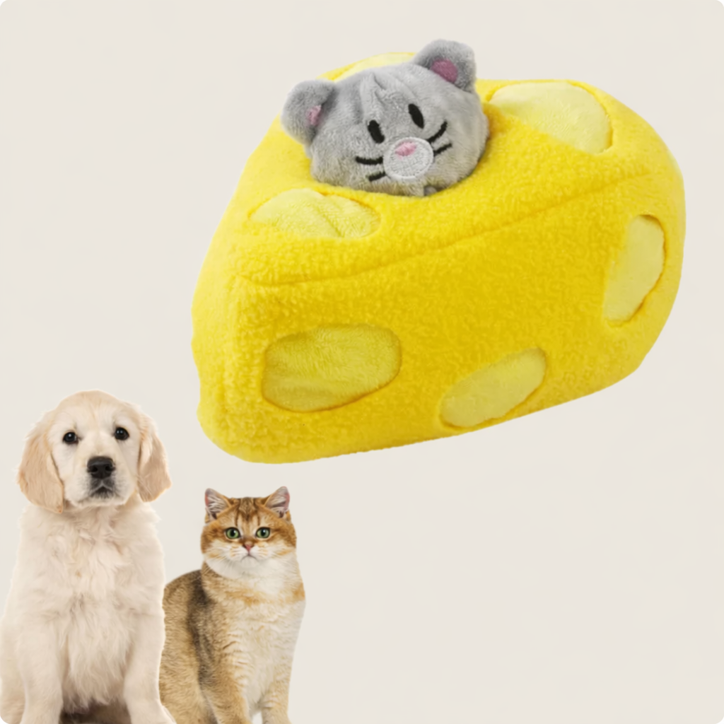 Slow Feeder Bowl for Dogs Boredom Challenge Will